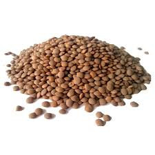 عدس